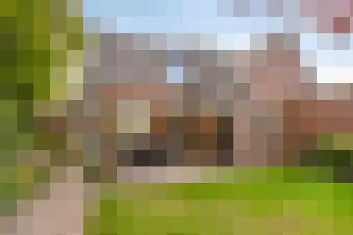 Schoorswinkel 66 Gemert thumbnail 44