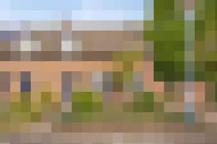 Schoorswinkel 66 Gemert thumbnail 7