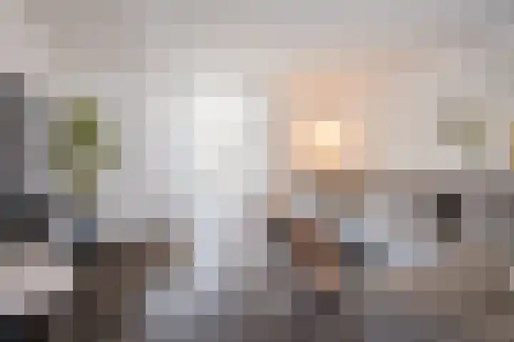 Schoorswinkel 67 Gemert thumbnail 11