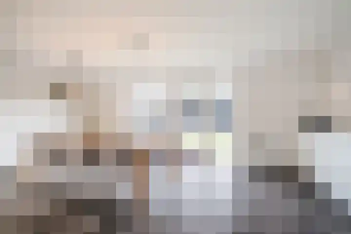 Schoorswinkel 67 Gemert thumbnail 16