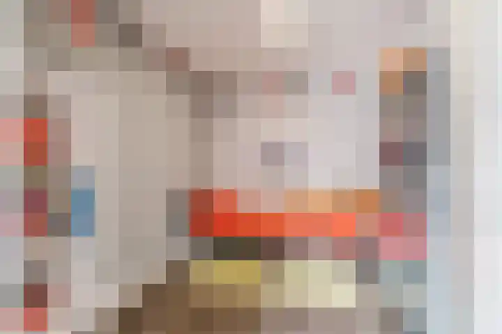 Schoorswinkel 67 Gemert thumbnail 17