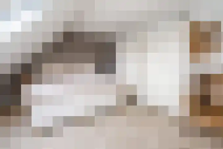Schoorswinkel 67 Gemert thumbnail 23