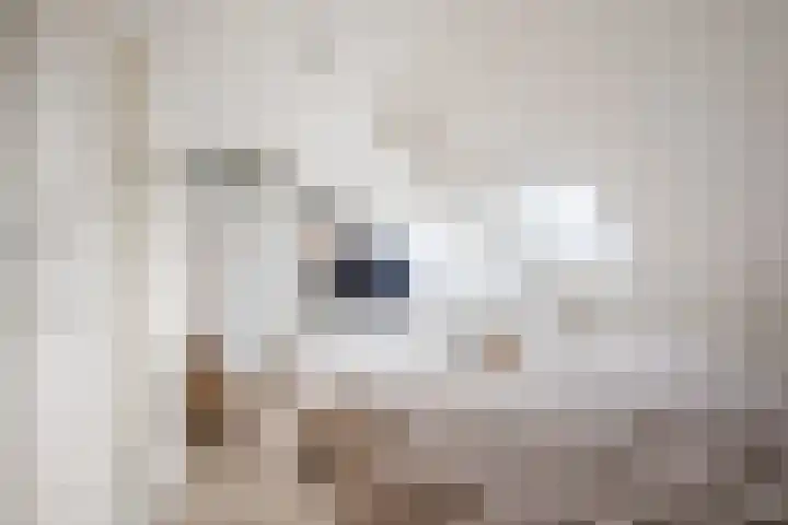 Schoorswinkel 67 Gemert thumbnail 24