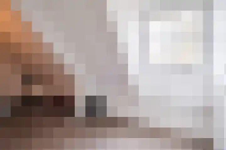 Schoorswinkel 67 Gemert thumbnail 27