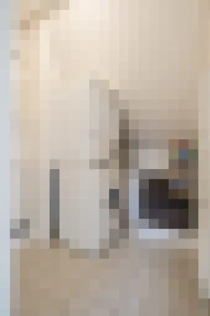 Schoorswinkel 67 Gemert thumbnail 29