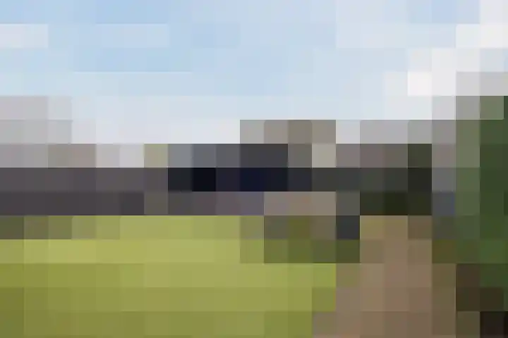 Schoorswinkel 67 Gemert thumbnail 30