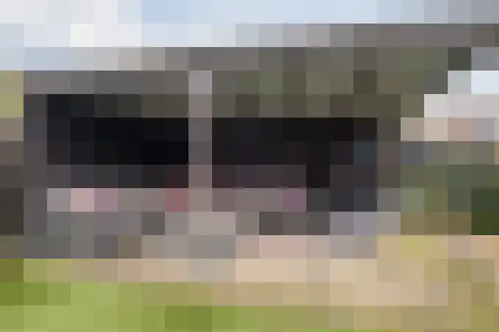 Schoorswinkel 67 Gemert thumbnail 32