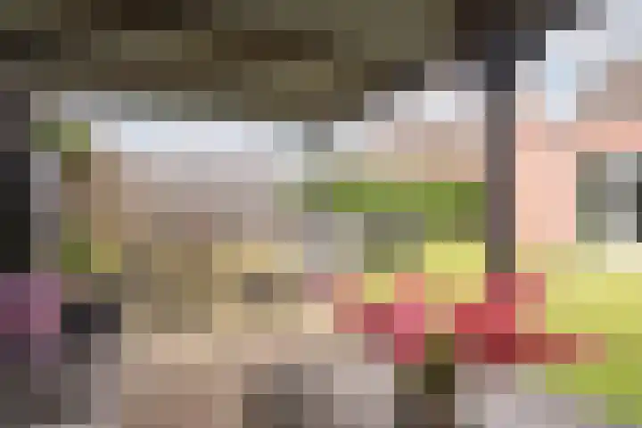 Schoorswinkel 67 Gemert thumbnail 33