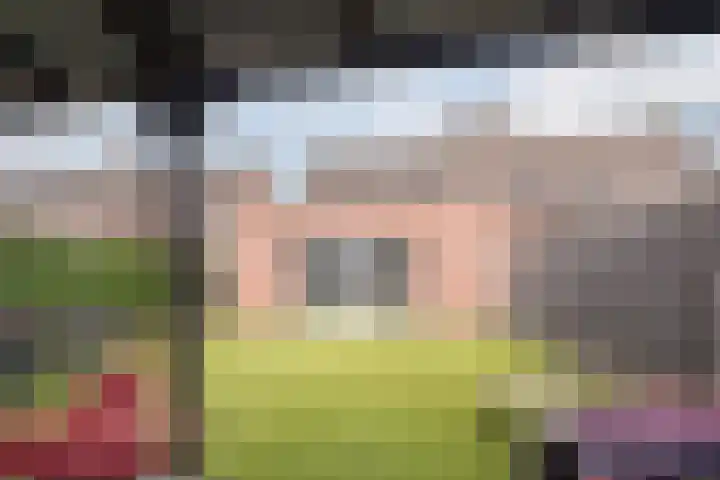 Schoorswinkel 67 Gemert thumbnail 34