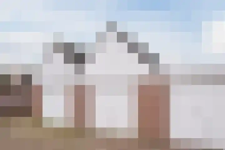 Schoorswinkel 67 Gemert thumbnail 35
