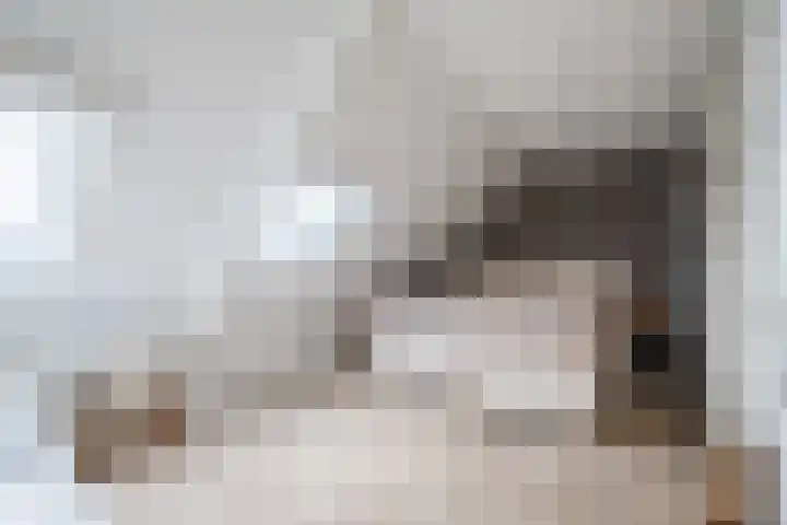 Schoorswinkel 67 Gemert thumbnail 4