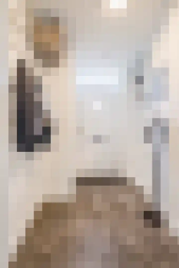 Schoorswinkel 67 Gemert thumbnail 6