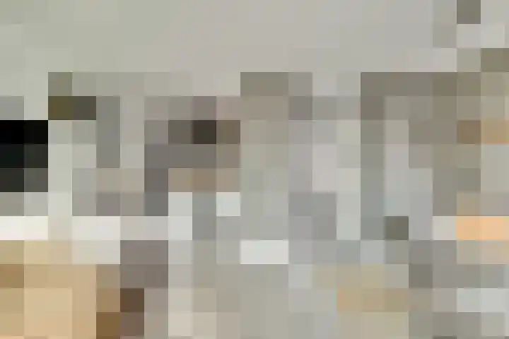 Schorpioen 15 Katwijk thumbnail 12