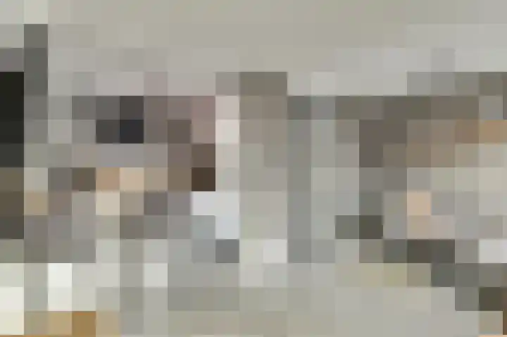 Schorpioen 15 Katwijk thumbnail 14