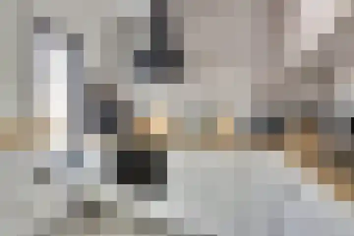 Schorpioen 15 Katwijk thumbnail 16