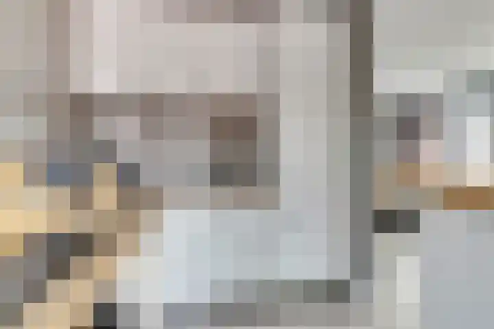 Schorpioen 15 Katwijk thumbnail 17