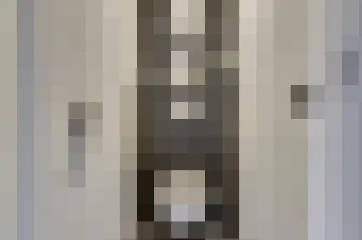 Schorpioen 15 Katwijk thumbnail 20