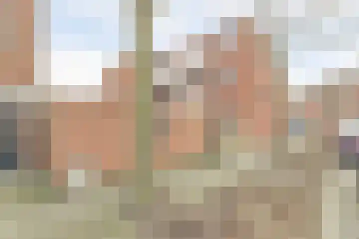 Schorpioen 15 Katwijk thumbnail 34