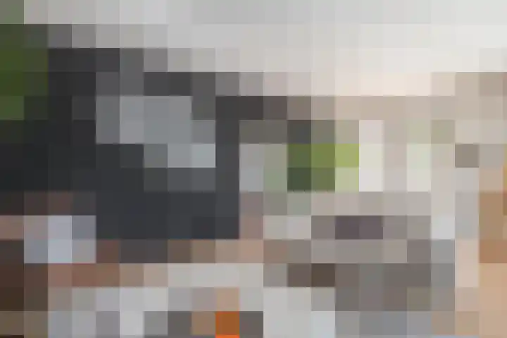 Schorpioen 4 Lemmer thumbnail 18