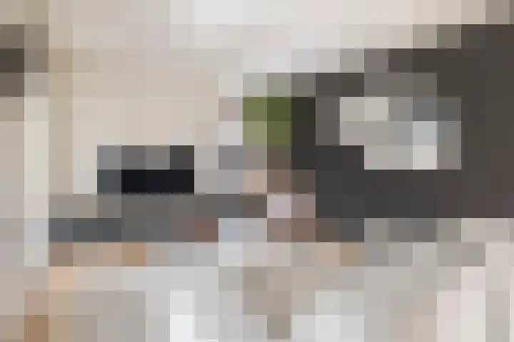 Schorpioen 4 Lemmer thumbnail 19