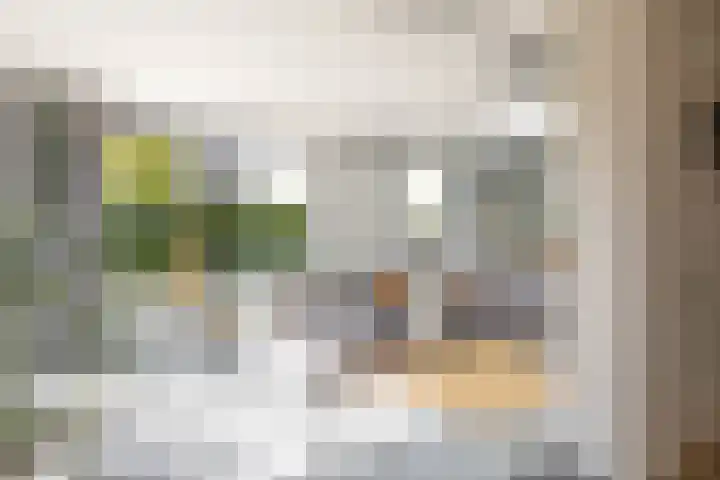 Schorpioen 4 Lemmer thumbnail 21