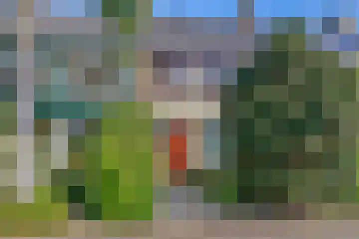 Schorpioen 4 Lemmer thumbnail 26