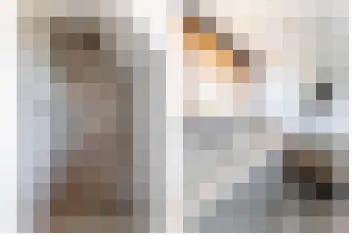 Schorpioen 4 Lemmer thumbnail 37