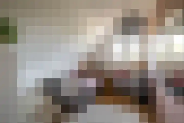 Schorpioen 4 Lemmer thumbnail 38