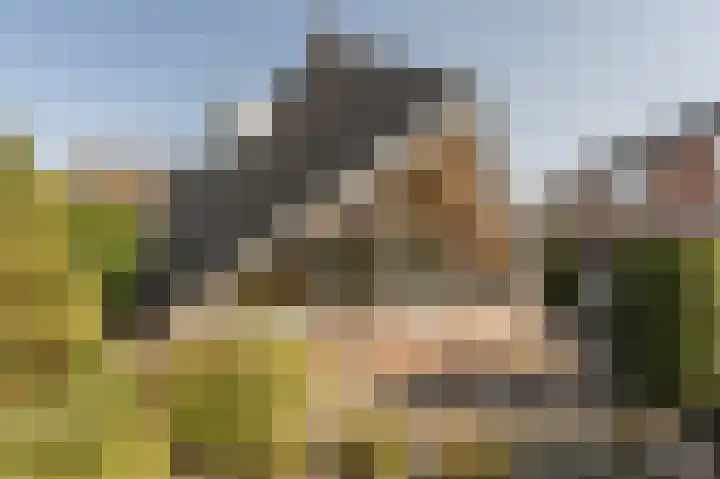 Schorpioen 4 Lemmer thumbnail 42