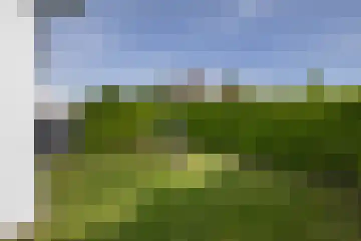 Schorpioen 4 Lemmer thumbnail 45