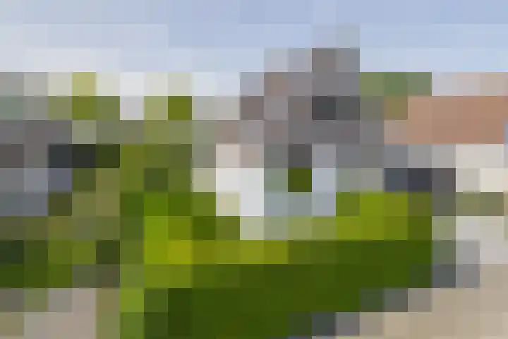 Schorpioen 4 Lemmer thumbnail 46