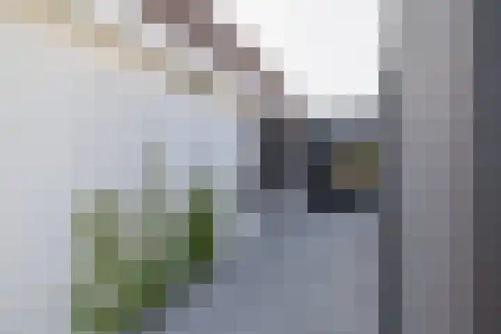 Schorpioen 4 Lemmer thumbnail 6