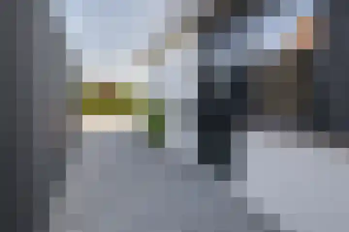 Schorpioen 4 Lemmer thumbnail 7