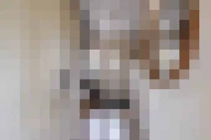 Schorpioen 4 Lemmer thumbnail 8