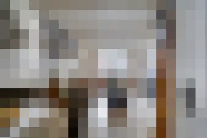 Schorpioen 8 Katwijk thumbnail 10