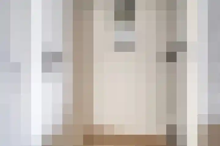Schorpioen 8 Katwijk thumbnail 17