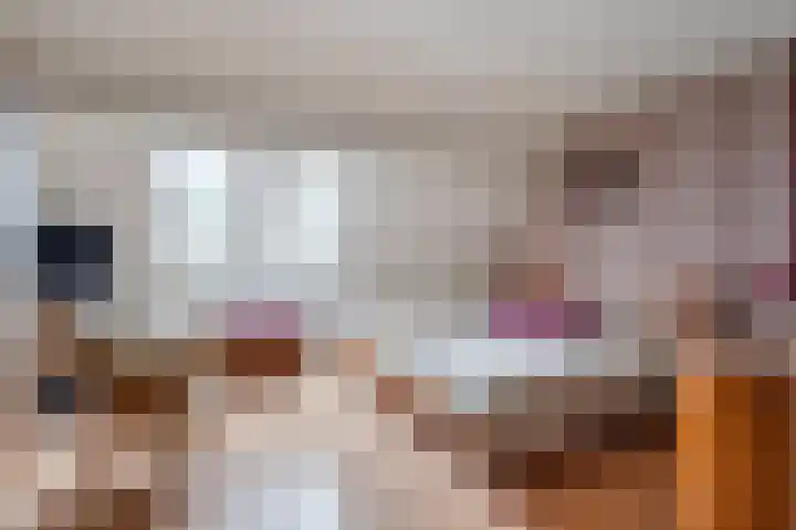 Schorpioen 8 Katwijk thumbnail 20