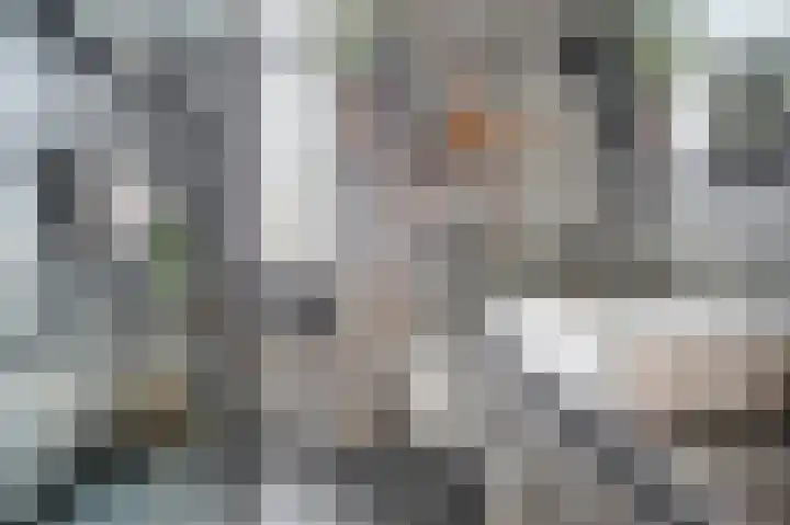 Schorpioen 8 Katwijk thumbnail 25