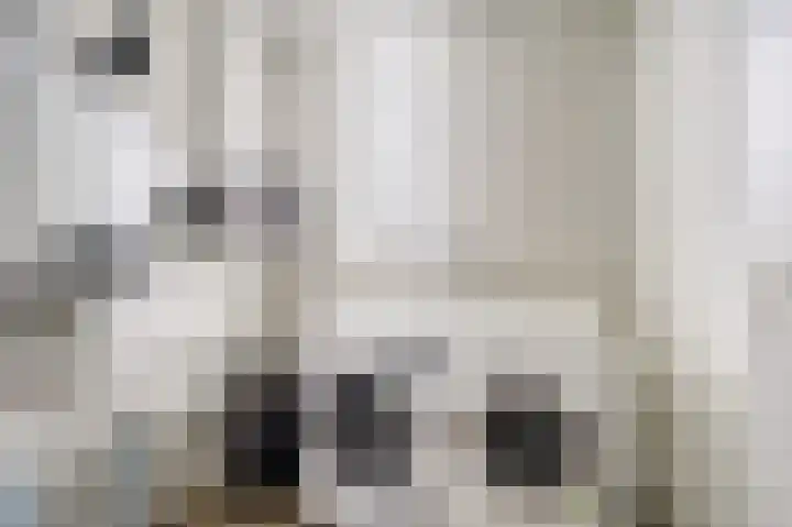 Schorpioen 8 Katwijk thumbnail 32