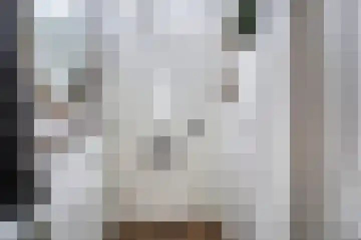 Schorpioen 8 Katwijk thumbnail 5