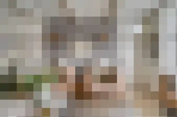 Schorpioen 8 Katwijk thumbnail 7