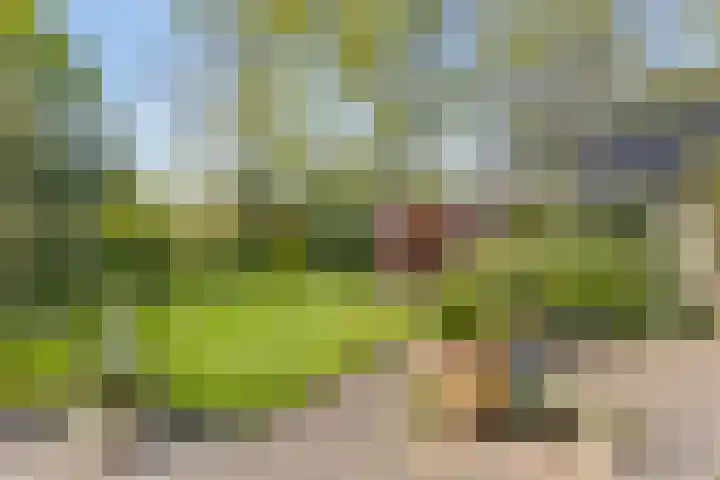 Schoterlandseweg 91 Mildam thumbnail 28