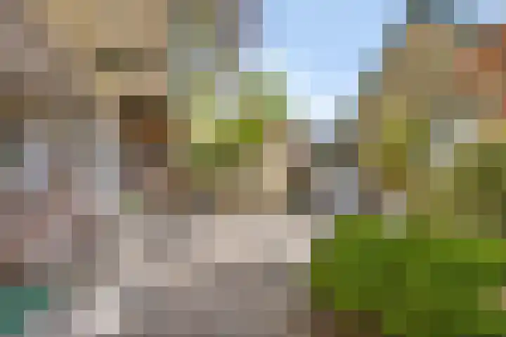 Schoterlandseweg 91 Mildam thumbnail 32