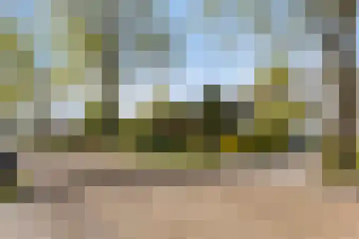Schoterlandseweg 91 Mildam thumbnail 5