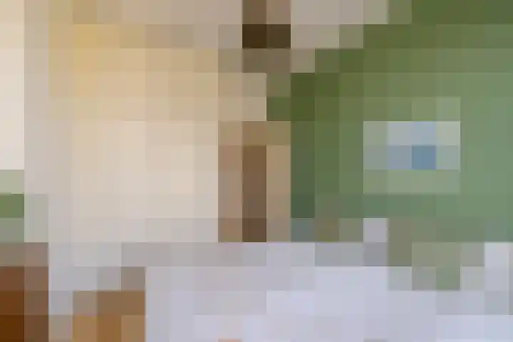 Schotersingel 5 Haarlem thumbnail 31