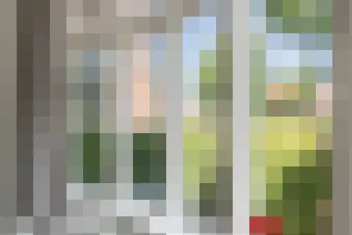 Schotersingel 67 E Haarlem thumbnail 10
