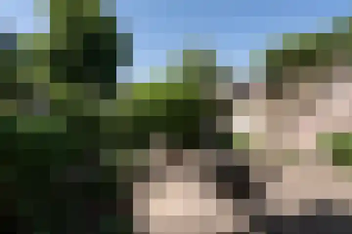 Schotersingel 67 E Haarlem thumbnail 34