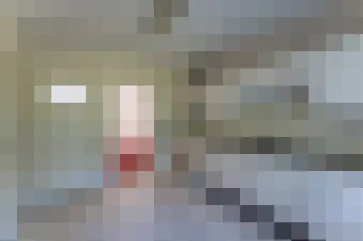Schoterweg 5 A Bant thumbnail 13