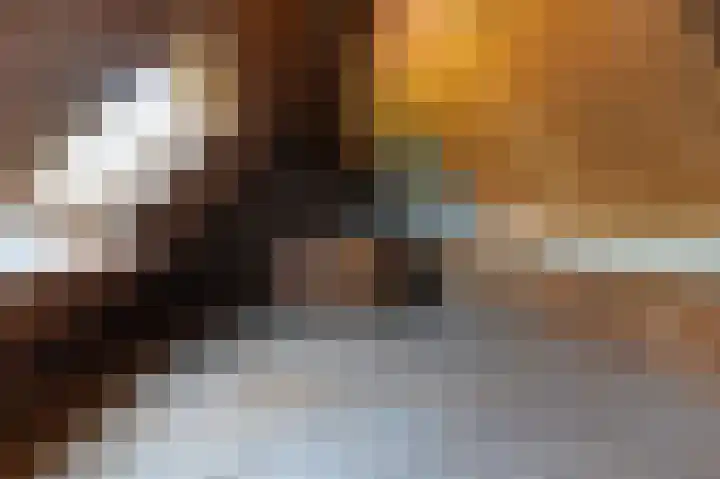 Schoterweg 5 A Bant thumbnail 32