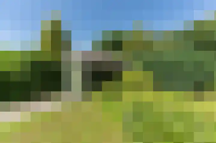 Schoterweg 5 A Bant thumbnail 33
